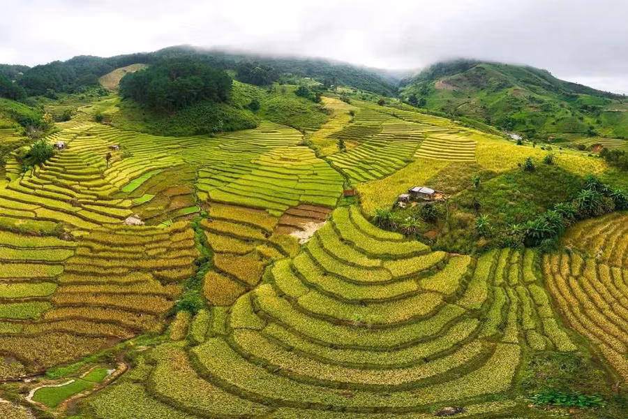 Trên hành trình khám phá thác Siu Puông, du khách sẽ được ngắm những thửa ruộng bậc thang xếp tầng tầng, lớp lớp