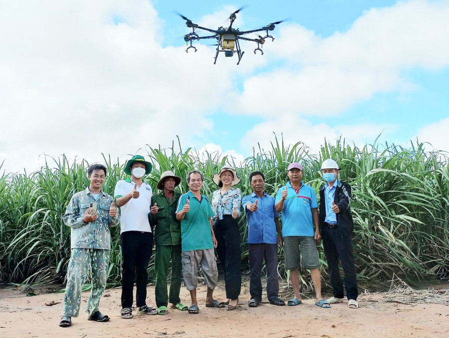 Công ty cổ phần Nông nghiệp AgriS Gia Lai ứng dụng drone để phun các chế phẩm sinh học kích thích cây mía phát triển (ảnh đơn vị cung cấp). 2.jpg