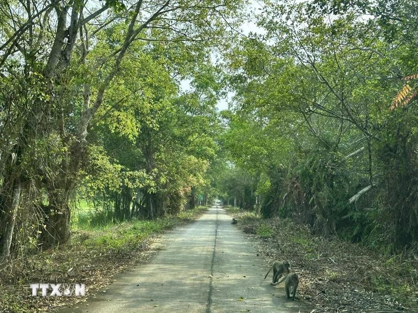 Đường vào Vườn Quốc gia U Minh Thượng. (Ảnh: Lê Sen/TTXVN) Đường vào Vườn Quốc gia U Minh Thượng. (Ảnh: Lê Sen/TTXVN)