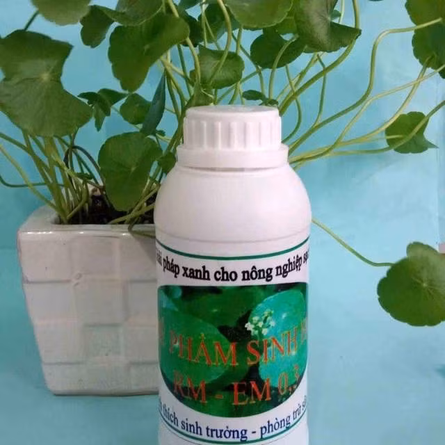 Chế phẩm được chế tạo từ những nguyên liệu rất thân thiện với môi trường và dễ tìm