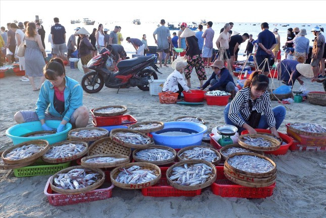 Những mẻ mực tươi ngon được bán ngay trên bờ biển Mân Thái, quận Sơn Trà. Những mẻ mực tươi ngon được bán ngay trên bờ biển Mân Thái, quận Sơn Trà.