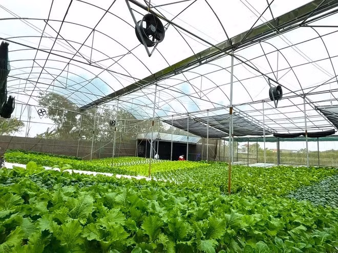 Ảnh minh họa. (Nguồn: Vietnam+)