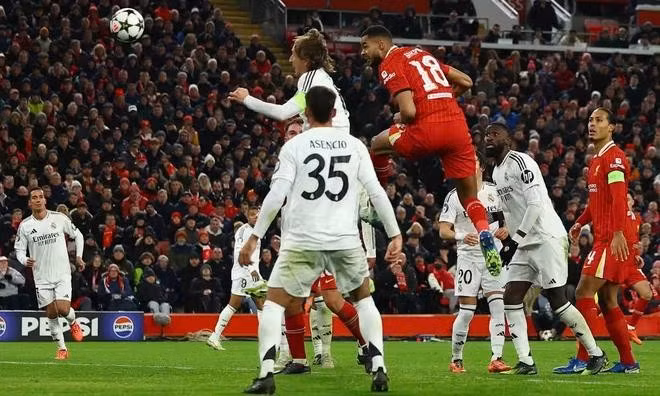 Mac Allister (số 10) và Cody Gakpo (số 18) ghi 2 bàn thắng cho Liverpool