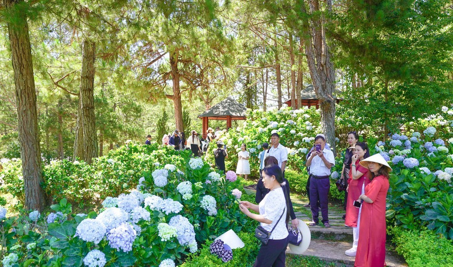 Với thời tiết mát mẻ, Đà Lạt là điểm đến ưa thích của nhiều du khách trong kỳ nghỉ lễ năm nay. Ảnh: ĐOÀN KIÊN Với thời tiết mát mẻ, Đà Lạt là điểm đến ưa thích của nhiều du khách trong kỳ nghỉ lễ năm nay. Ảnh: ĐOÀN KIÊN
