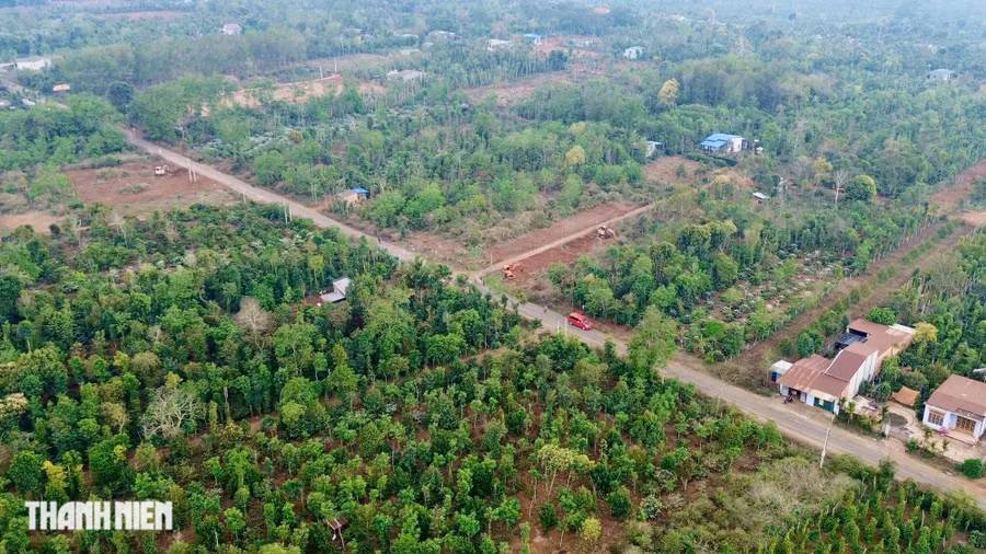 Khu vực "sốt đất" ở xã Ea Drơng (H.Cư M'gar) đang được người dân ở tỉnh Đắk Lắk quan tâm