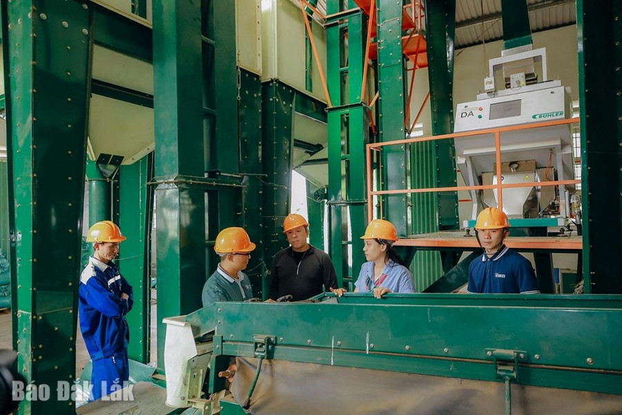 Tham quan trực tiếp tại nhà máy chế biến cà phê. Tham quan trực tiếp tại nhà máy chế biến cà phê.