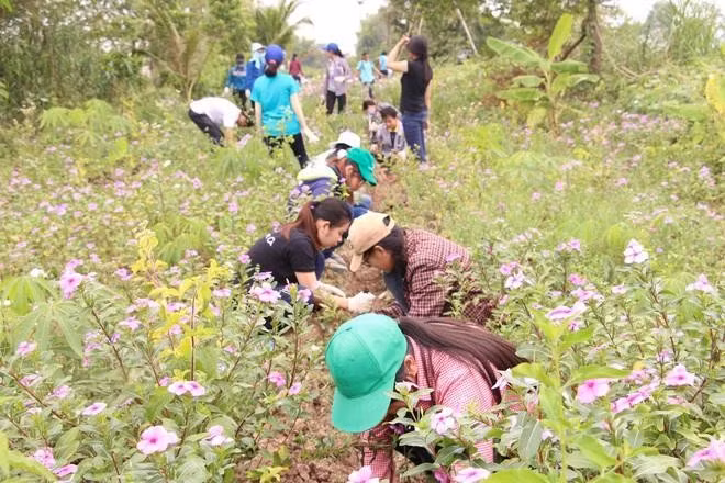 Sinh viên trồng cây ở vườn thuốc nam tại An Giang năm 2017