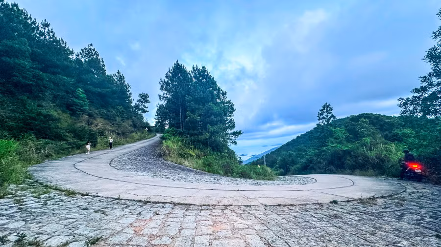 Con đường leo núi Vũng Chua uốn lượn qua những rừng cây xanh mát. Ở đây có hệ sinh thái đa dạng, đặc biệt là những cánh rừng thông thẳng tắp phủ kín các triền đồi.