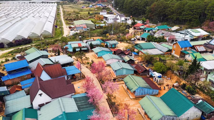 Làng là nơi sinh sống của người K'ho, một dân tộc thiểu số thuộc nhóm Mạ. Dù dân số không đông đúc, nhưng vẫn giữ được những nét văn hóa đặc sắc của cộng đồng bản địa.