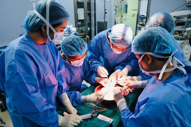 Kíp ghép thận rửa thận ghép. (Ảnh: PV/Vietnam+) Kíp ghép thận rửa thận ghép. (Ảnh: PV/Vietnam+)