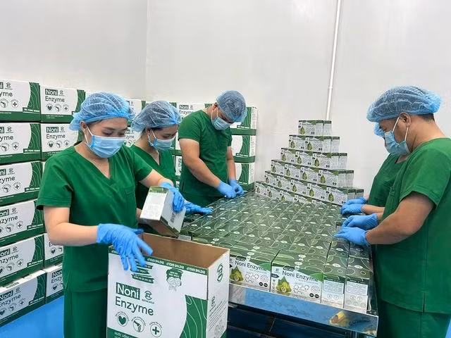 Các loại nước uống enzym được bác sĩ Nguyễn Duy Lịch và cộng sự nghiên cứu thành công