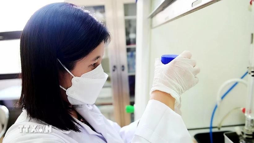 Ảnh minh họa. (Nguồn: Diệu Thúy/TTXVN) Ảnh minh họa. (Nguồn: Diệu Thúy/TTXVN)