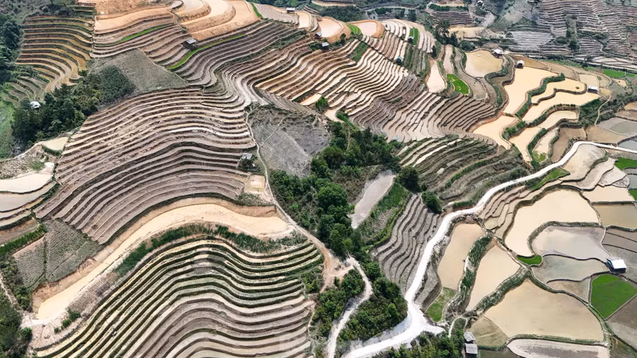 Những ngày này, những cơn mưa đầu mùa đang đổ nước tràn đầy các thửa ruộng bậc thang ở Mù Cang Chải . Nước loang dần theo từng bậc ruộng, phản chiếu ánh mặt trời, tạo nên một bức tranh thiên nhiên lấp lánh giữa núi rừng Tây Bắc