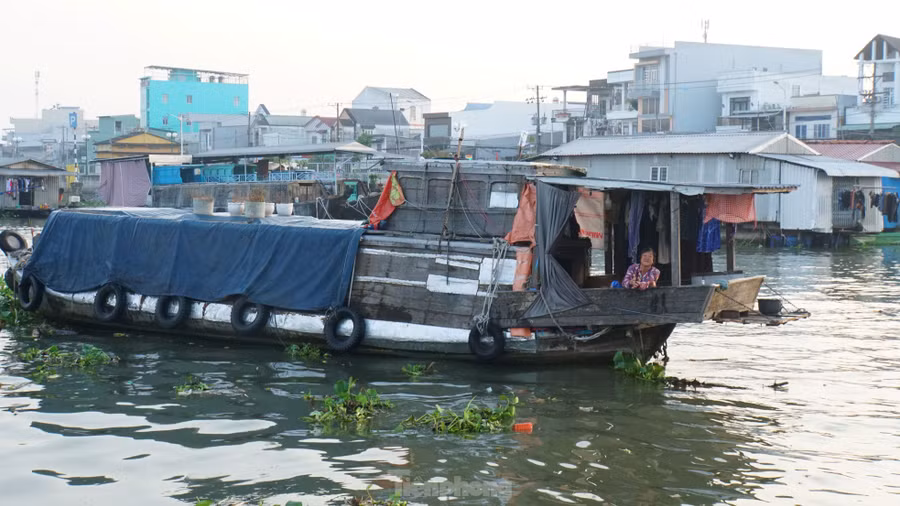 Chợ nổi Cái Răng có khoảng 200 - 250 ghe, tàu mua bán, trao đổi hàng hóa, có lúc lên đến 300, 400 ghe, trong đó số lượng neo đậu cố định khoảng 150 chiếc và từ nơi khác đến khoảng 100 ghe. Ảnh: Hòa Hội.