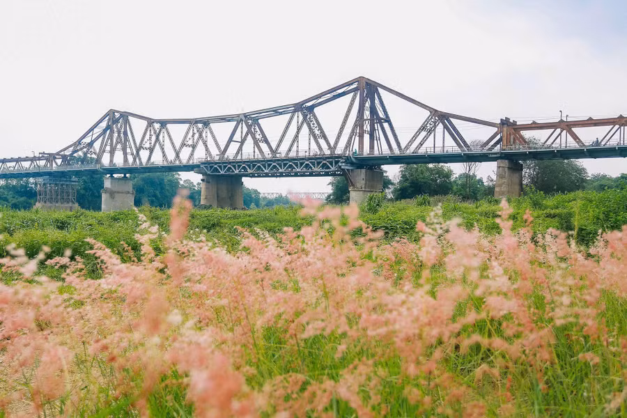 Trước đây, khu vực này chỉ là một khoảng đất rộng, sau đó được người dân cải tạo, trồng hoa và cỏ... nhằm làm đẹp cảnh quan, tạo điểm nhấn ấn tượng cho không gian rộng lớn.