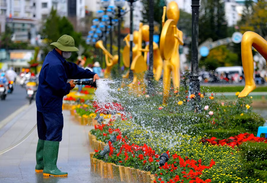 Hoa liên tục được chăm tưới để chờ tới ngày khai hội quan trọng Festival Hoa Đà Lạt.