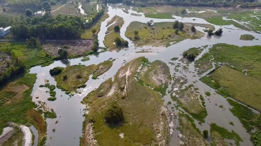 Cảnh quan tại hồ Thị Tính