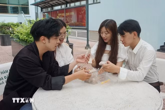 Nhóm sinh viên trao đổi để tiếp tục hoàn thiện sản phẩm. (Ảnh: Thu Hoài/TTXVN)