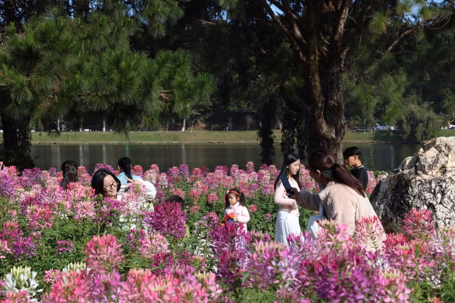 Du khách sẽ có những trải nghiệm thú vị với Đà Lạt và tháng 6. Ảnh: Chính Thành