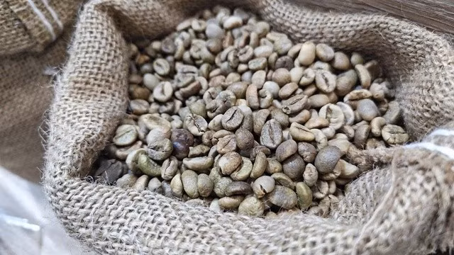 Giá cà phê biến động liên tục