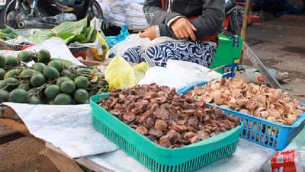 Hạt cau khô có tác dụng làm thuốc chữa bệnh