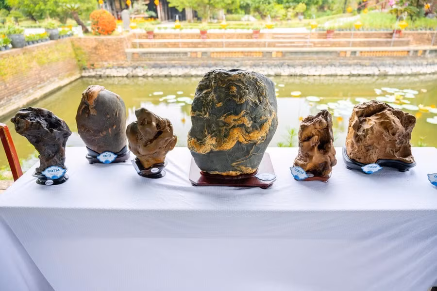 Từ ngày 24 đến 28-4, hàng ngàn tác phẩm phong lan, cây kiểng, đá cảnh của hơn 600 nghệ nhân từ 3 miền đất nước được trưng bày tại khu di sản Đại nội Huế, góp phần tạo điểm nhấn cho khách tham quan trong những ngày lễ