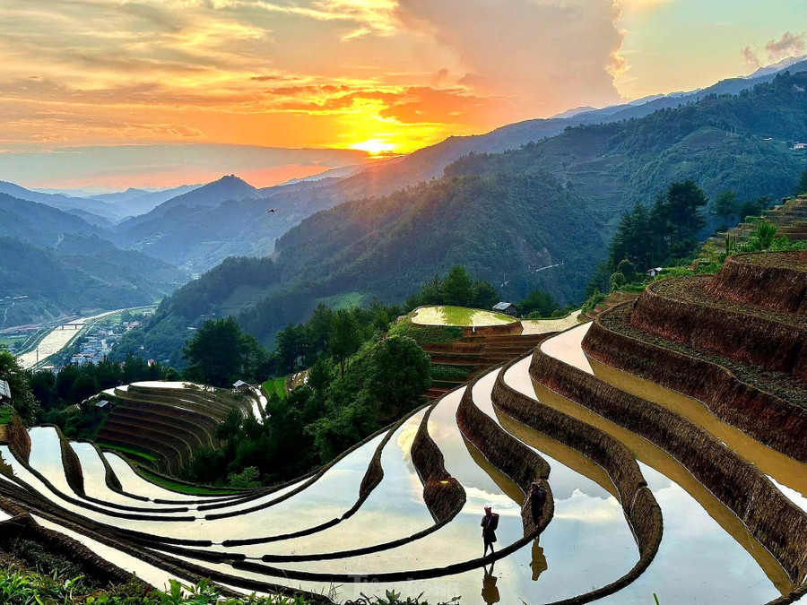 Đây cũng là thời điểm người nông dân tất bật xuống đồng, tranh thủ từng ngày nắng để gieo cấy mạ non, phủ xanh những thửa ruộng bậc thang, mở đầu cho vụ lúa chính trong năm. Đây cũng là thời điểm người nông dân tất bật xuống đồng, tranh thủ từng ngày nắng để gieo cấy mạ non, phủ xanh những thửa ruộng bậc thang, mở đầu cho vụ lúa chính trong năm.