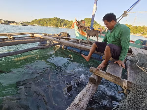 Ngư dân Lê Văn Đời hạnh phúc với cuộc sống nuôi cá lồng bè trên biển.