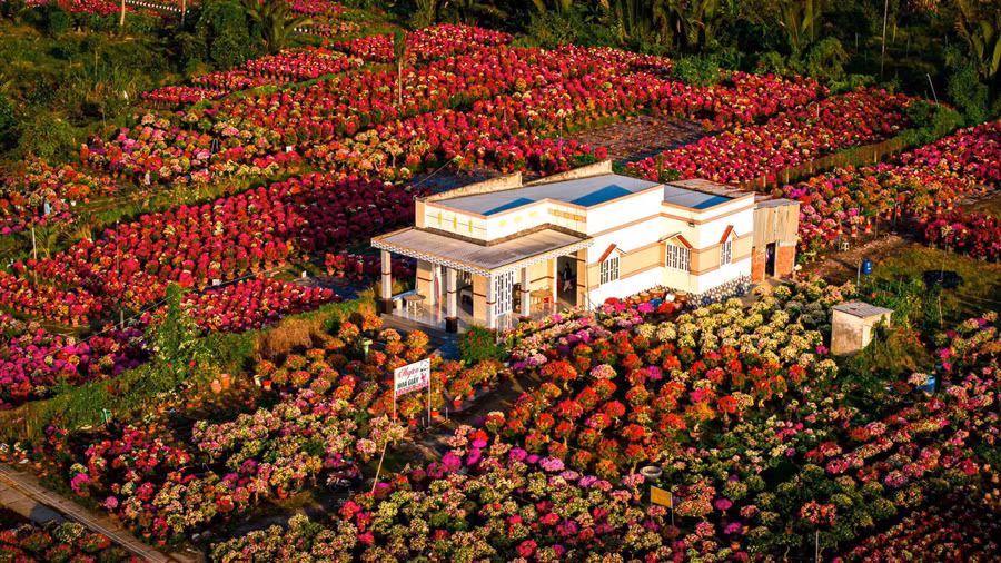 Khi đặt chân đến đây, du khách sẽ choáng ngợp trước vẻ đẹp mê mẩn trước không gian sắc màu mà khó ở đâu có được. Hoa giấy khoe sắc rực rỡ dọc hai bên đường xe chạy, hay những vườn hoa nằm san sát quanh những ngôi nhà của người dân đẹp đến quên lối về