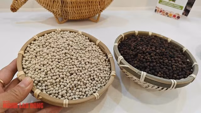 Giá tiêu tăng trở lại