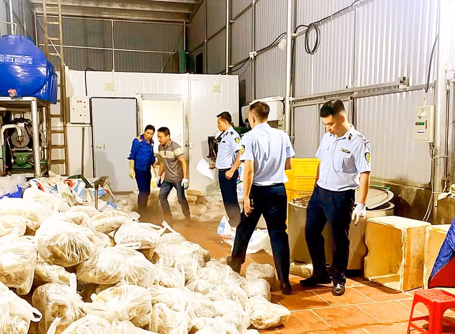 Lực lượng chức năng Hà Nội phát hiện gần 11 tấn nội tạng động vật bốc mùi hôi thối chuẩn bị tuồn ra thị trường dịp lễ vừa qua. Ảnh: PHÚC HẬU