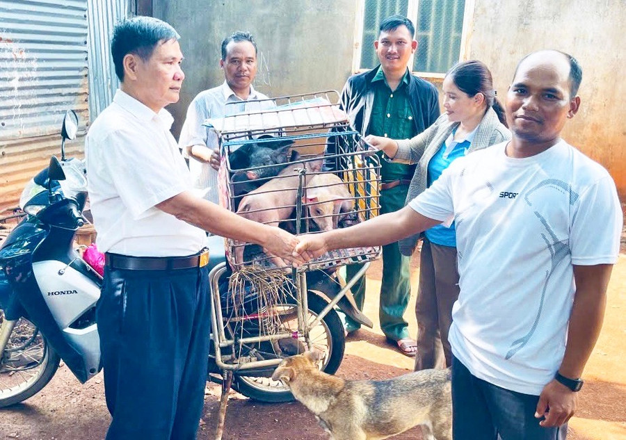 Ông Chu Xuân Toàn-Chủ tịch Hội Cựu chiến binh huyện Chư Pưh (bìa trái) và các hội viên tặng heo giống cho ông Siu Đoan (làng Ia Ke, xã Ia Phang). Ảnh: M.P ong-chu-xuan-toan-chu-tich-hoi-cuu-chien-binh-huyen-chu-puh-bia-trai-va-cac-hoi-vien-tang-heo-giong-cho-ho-ong-siu-doan-lang-ia-ke-xa-ia-phang-da-co-nhung-thay-doi-tich-cuc-trong-qua-trinh-hoan-lu.jpg