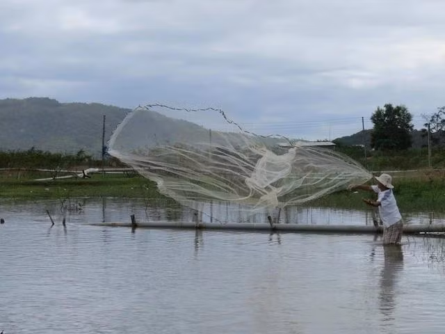 Mưu sinh ở sông Thoa