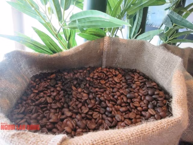 Giá cà phê gần đây diễn biến khó lường