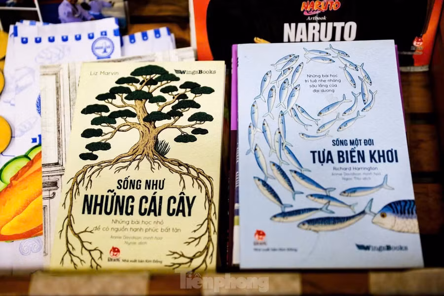 Nếu bạn đã quá quen với những quán cà phê decor kiểu Hàn - Nhật hiện đại, thì đây chính là “làn gió mới” khiến bạn trầm trồ! Mô hình ngồi làm việc thưởng thức đồ uống mới toanh với concept ngồi giữa rơm rạ đang gây sốt khắp mạng xã hội bởi sự mộc mạc, gần gũi mà vẫn cực kỳ “ăn ảnh”.