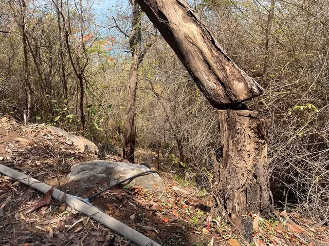 Hiện trường nơi va li chứa thi thể nạn nhân bị vứt xuống núi