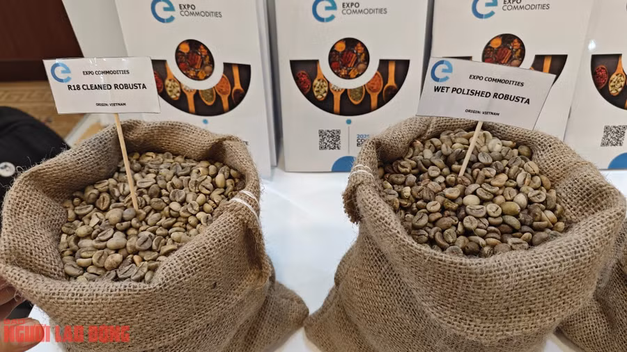 Cà phê Việt Nam được giới thiệu tại một hội nghị quốc tế đang diễn ra tại TP HCM