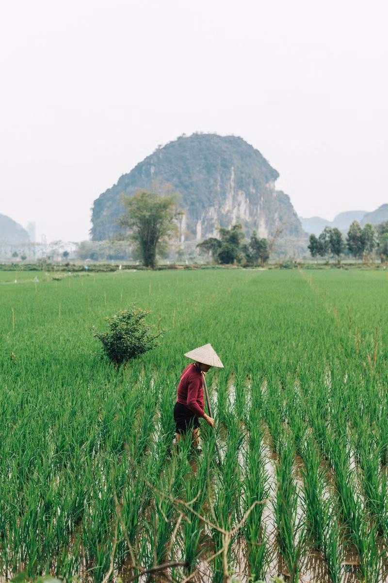 Hòa Bình cách Hà Nội khoảng 100 km, cửa ngõ của vùng Tây Bắc, và là nơi sinh sống của người H'mong, Mường và Dao. Vùng đất này được du khách biết đến với suối nước nóng Kim Bôi, thung lũng Mai Châu hay thủy điện Hòa Bình và những cánh đồng lúa bạt ngàn đẹp mắt