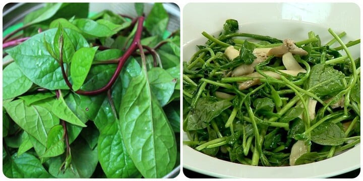 Rau mồng tơi tuy tốt cho sức khoẻ nhưng không phải ai cũng ăn được Rau mồng tơi tuy tốt cho sức khoẻ nhưng không phải ai cũng ăn được