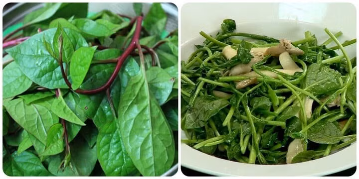 Rau mồng tơi tuy tốt cho sức khoẻ nhưng không phải ai cũng ăn được