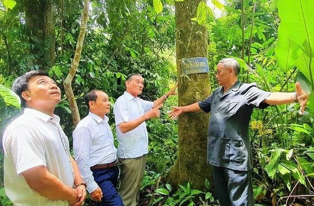 Ông Hồ Văn Ny (bìa phải) kể về những năm tháng cố Chủ tịch Hội đồng Nhà nước Võ Chí Công hoạt động cách mạng