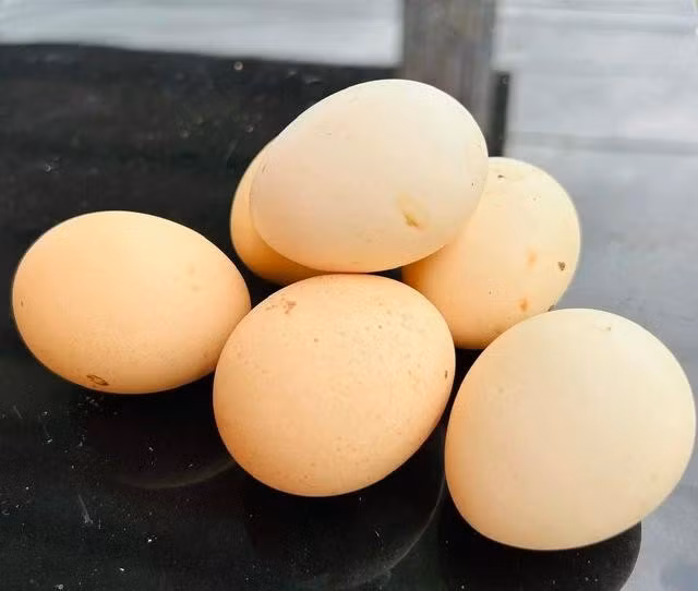 Trứng gà cung cấp nhiều chất dinh dưỡng tốt cho sức khỏe