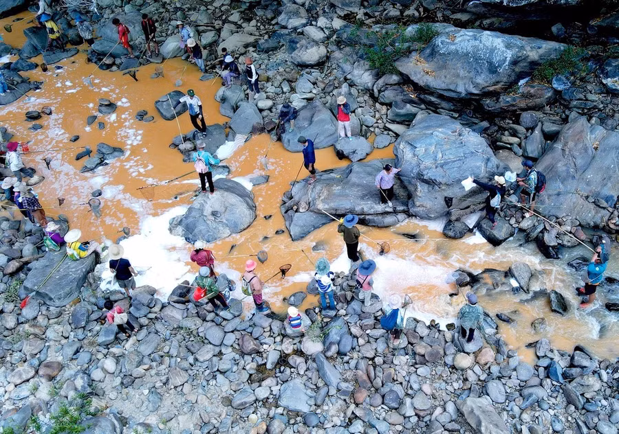 Người Giẻ Triêng 'gây mê' bắt cá bằng cây rừng ảnh 6