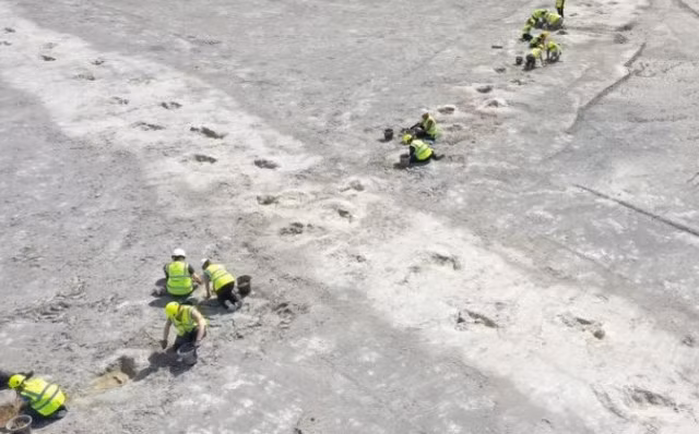 Các nhà nghiên cứu đang khai quật "thế giới đã mất" kỷ Jura tại mỏ đá ở hạt Oxfordshire - Anh - Ảnh: ĐẠI HỌC BIRMINGHAM