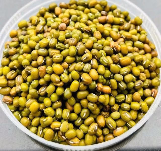 Các loại đậu là nguồn cung cấp dồi dào sắt từ thực vật