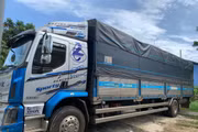 Tạm giữ xe tải chở gỗ không có hóa đơn chứng từ tại Ayun Pa