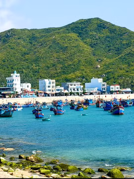Mùa rêu xanh Nhơn Hải