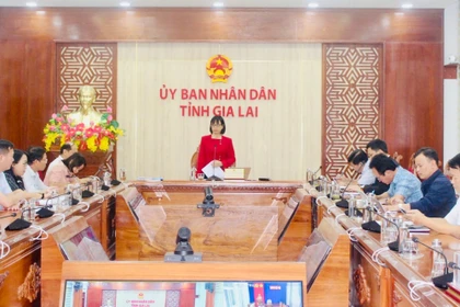 Phát triển kinh tế ban đêm gắn với đặc thù văn hóa, kinh tế, xã hội của từng khu vực