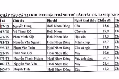 gia-lai-chay-tau-ca-Cang-ca-Tam-Quan