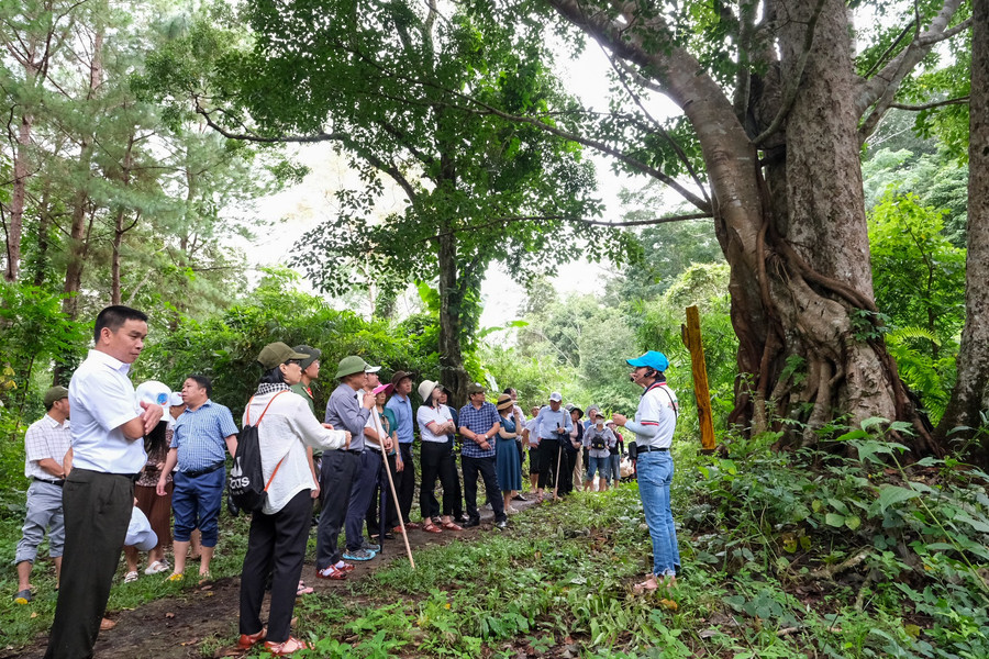 Hướng dẫn viên giới thiệu sự đa dạng sinh học của Vườn quốc gia. Ảnh: Hoàng Ngọc dscf6823.jpg